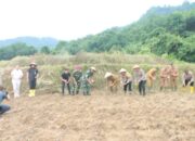 PJ Bupati Lampura Hadiri Penanaman Jagung Serentak 1 Juta Hektar di Desa Subik