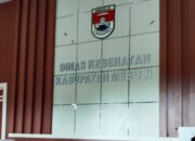 Diduga Kadis Kesehatan Mesuji Sarat Masalah, AJO-Lampung Angkat Bicara