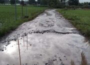 Warga Desa Asto Mulyo Keluhkan Jalan Rusak Tak Kunjung Diperbaiki