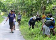 Pemerintahan Pekon Padang Haluan Gelar Gotong Royong Bersama