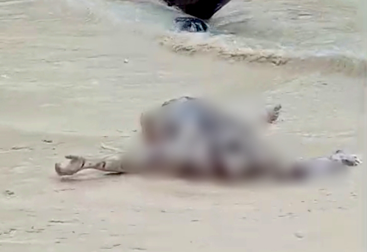 Geger Warga Pesisir Barat Temukan Dua Jenazah di Perairan Pantai Walur 