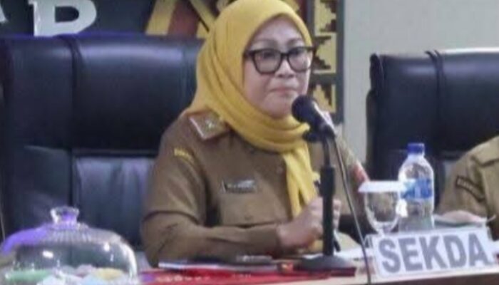 Layanan Pendaftaran Online RSUD Ryacudu Dikeluhkan Warga, Ini Kata Sekda Lampura