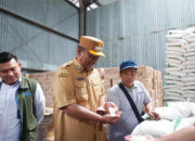 Plt. Bupati Lamteng Lepas Penyaluran Bantuan Pangan untuk 189 Ribu KPM