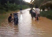 Curah Hujan Tinggi, Way Umpu dan Way Besai Meluap Rendam Permukiman di Pakuan Ratu