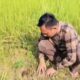 Dukung Program Penghijauan, Sekretariat DPRD Pesisir Barat Tanam Bibit Buah