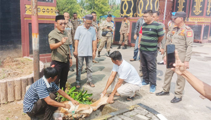 Warga Potong Kambing Usai Sekda Lampung Tengah Ditetapkan Tersangka