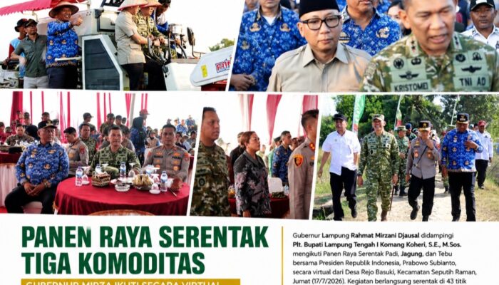 Plt. Bupati Lamteng Dampingi Gubernur Lampung Ikuti Panen Raya Serentak Tiga Komoditas Bersama Presiden Secara Virtual
