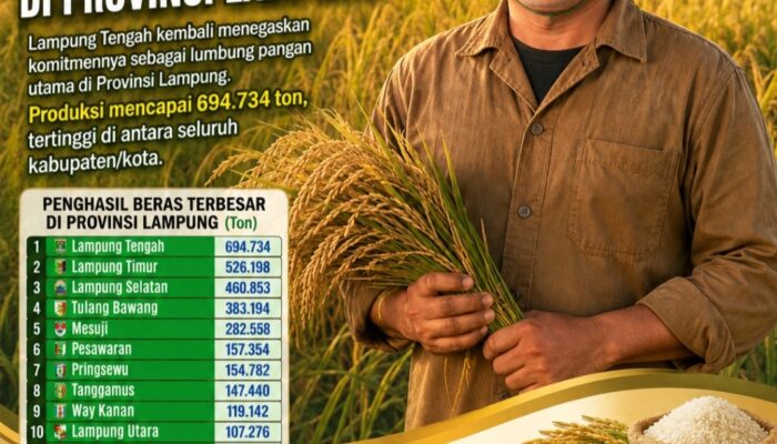 Lampung Tengah Jadi Penghasil Beras Terbesar di Provinsi Lampung, Kontribusi Nyata untuk Swasembada Pangan Nasional
