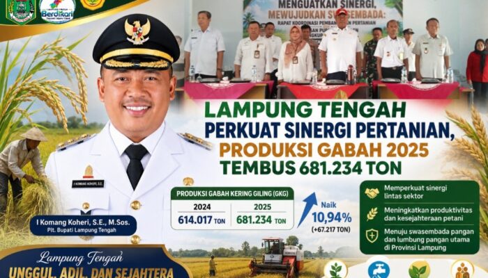 Lampung Tengah Perkuat Sinergi Pertanian, Produksi Gabah 2025 Tembus 681.234 Ton