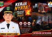 Kebakaran Gubuk Padi di Tempuran Trimurjo, Diduga Akibat Korsleting Listrik