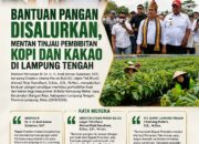 Bantuan Pangan Disalurkan, Mentan Tinjau Pembibitan Kopi dan Kakao di Lamteng