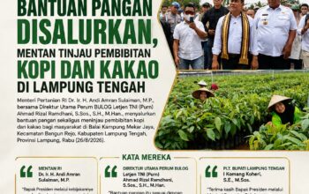 Bantuan Pangan Disalurkan, Mentan Tinjau Pembibitan Kopi dan Kakao di Lamteng
