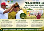 Padi Jadi Prioritas, Lampung Tengah Perkuat Semangat Mari Sejahterakan Petani