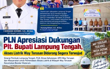 PLN Apresiasi Dukungan Plt. Bupati Lampung Tengah, Akses Listrik Way Terusan Didorong Segera Terwujud