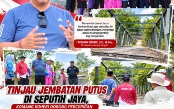 Tinjau Jembatan Putus, Plt. Bupati Lamteng Dorong Percepatan Penanganan Akses Strategis Warga