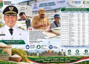 Pemkab Lamteng Akan Salurkan 5,62 Juta Kilogram Bantuan Pangan Beras untuk 187.359 Penerima