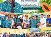 TP PKK Lampung Tengah Gandeng GGF Dorong Budidaya Pepaya Bangkok