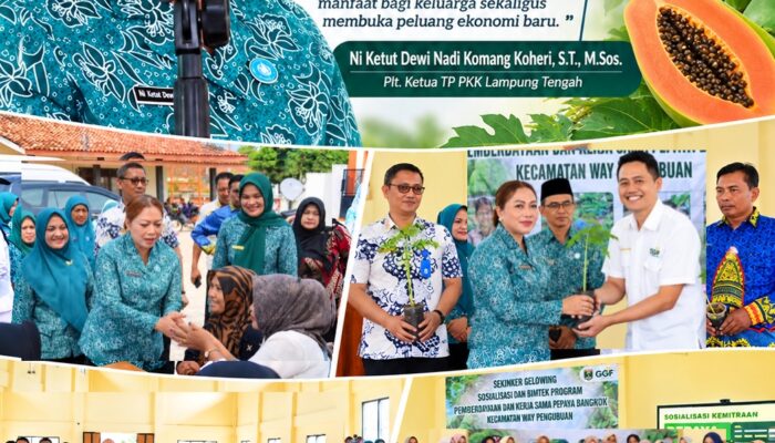 TP PKK Lampung Tengah Gandeng GGF Dorong Budidaya Pepaya Bangkok
