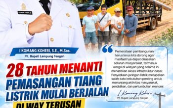 Pemasangan Tiang Listrik Mulai Berjalan di Way Terusan, Warga Apresiasi Dukungan Plt. Bupati Lampung Tengah